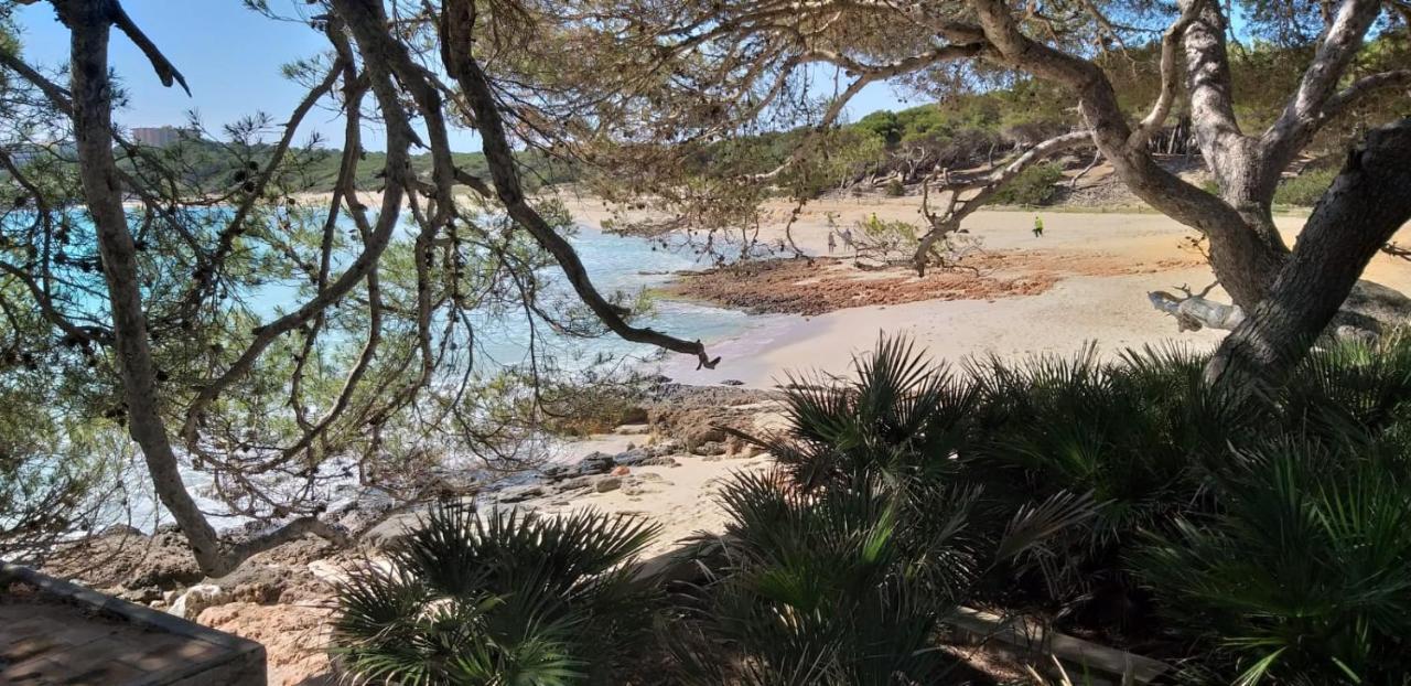 Punta Ses Planes Villa