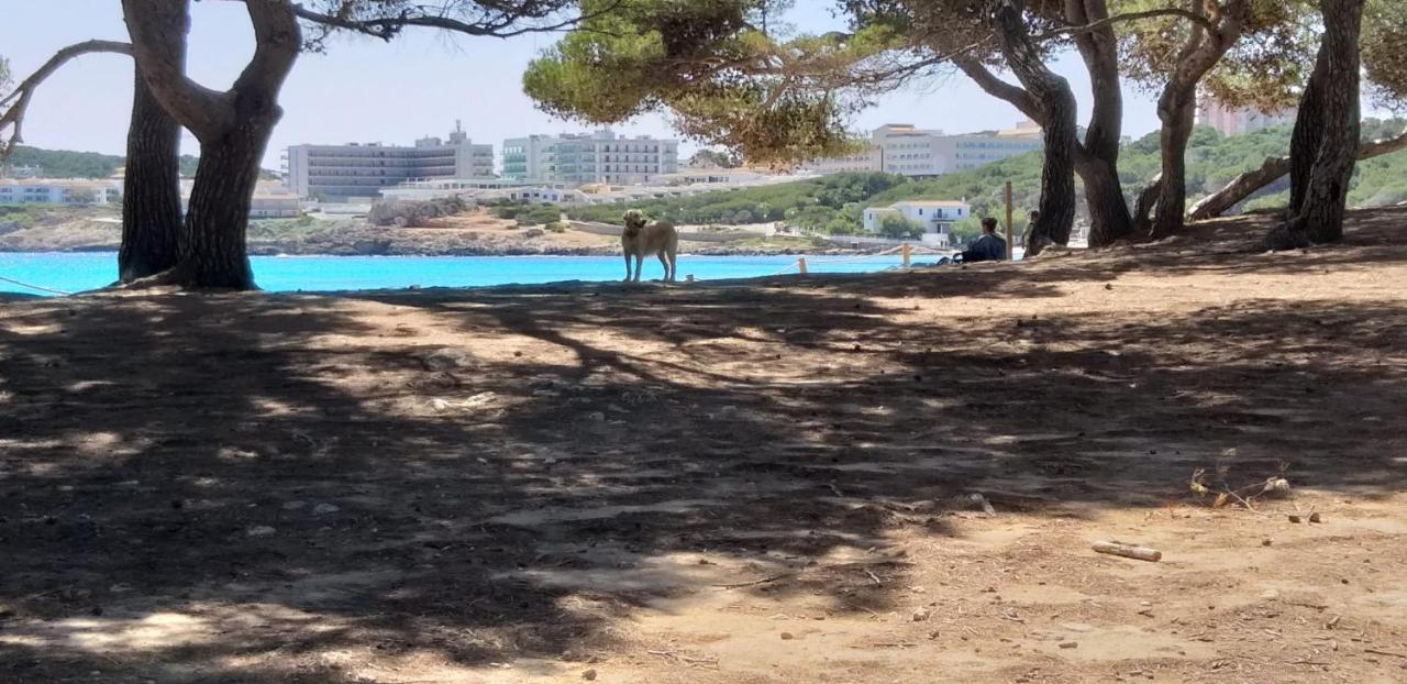 Punta Ses Planes Villa